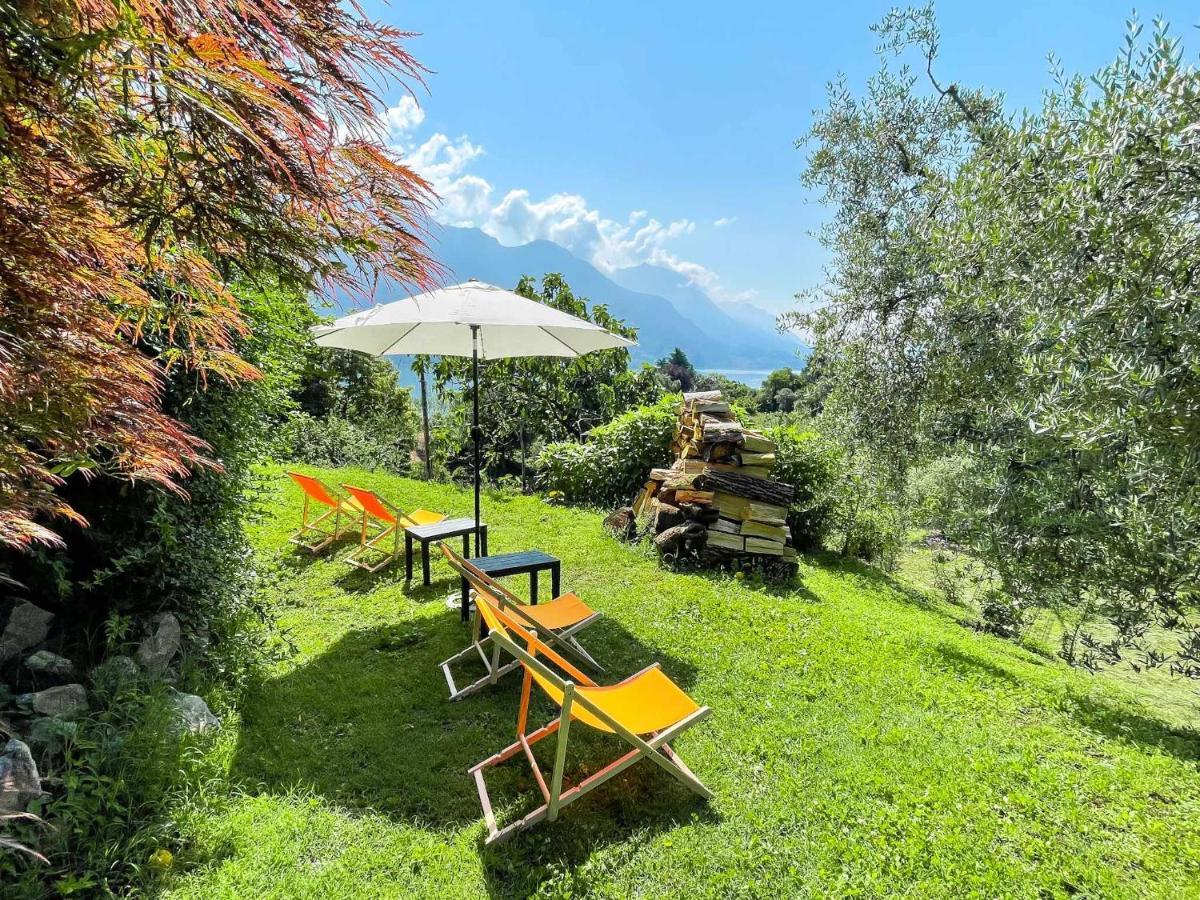 Breva Loft Tra Gli Ulivi Ed Il Lago Bellagio Ngoại thất bức ảnh