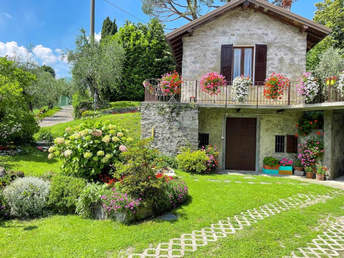 Breva Loft Tra Gli Ulivi Ed Il Lago Bellagio Ngoại thất bức ảnh